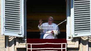 La dimisi&oacute;n de un papa no debe "convertirse en una moda", afirma Francisco