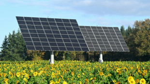 Une premi&egrave;re dans l'UE: &eacute;olien et solaire ont fourni plus d'&eacute;lectricit&eacute; que le gaz en 2022