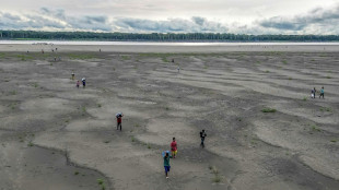 COP16: la conférence de l'ONU sur la désertification s'ouvre en Arabie saoudite