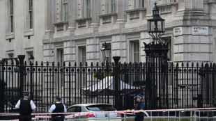 Auto f&auml;hrt in Absperrung an Londoner Downing Street 
