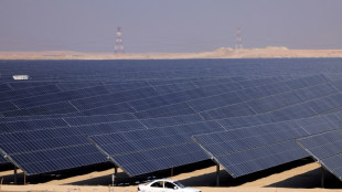 Les Emirats s'appr&ecirc;tent &agrave; d&eacute;marrer l'une des plus grandes centrales solaires au monde