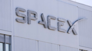 SpaceX supera las previsiones de ingresos en un mercado a&uacute;n esc&eacute;ptico por sus inversiones en IA