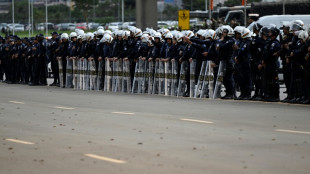 Saccages &agrave; Brasilia: les failles de s&eacute;curit&eacute; en question