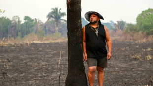 Abholzung in Brasiliens Amazonasgebiet auf niedrigstem Stand seit fast 40 Jahren