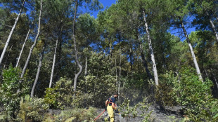 Incendie des C&eacute;vennes: nuit calme sur le site maintenu sous surveillance
