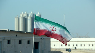 Ir&aacute;n denuncia una resoluci&oacute;n "pol&iacute;tica y no constructiva" del OIEA