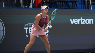Russian teen Liutova wins WTA Memphis title