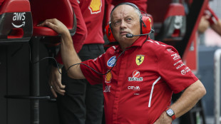 F1: Vasseur, Hamilton? Calmiamoci, ne parliamo dopo debriefing