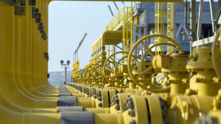 Il prezzo del gas chiude in lieve rialzo sopra 41 euro