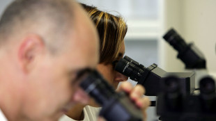 Cristalli di platino coltivati per i materiali smart del futuro