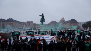 Devant le ch&acirc;teau de Versailles, une centaine d'agriculteurs alertent contre le Mercosur