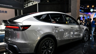 Tesla will in Gr&uuml;nheide 1500 Stellen f&uuml;r Batteriezellenfertigung schaffen