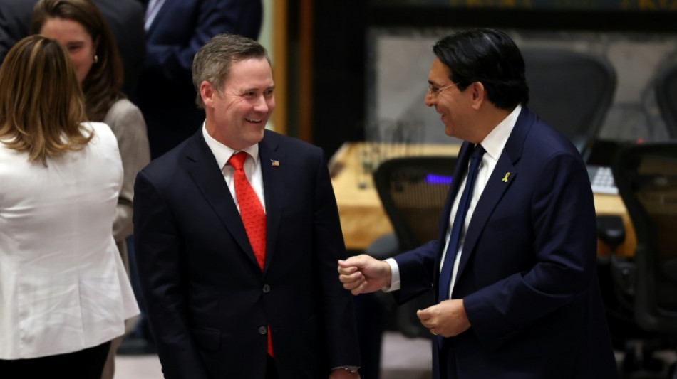 Israel diz que plano de Trump para Gaza apoiado pela ONU trará 'paz e prosperidade'