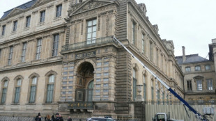 Woman charged over Louvre heist tears up in court