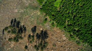 Waldeigent&uuml;mer kritisieren geplantes Verbot von Holzheizungen in Neubauten