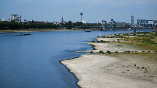 Niedrige Wasserst&auml;nde machen Binnenschifffahrt und Energiewirtschaft zu schaffen