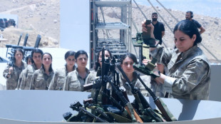 Turkey MPs back historic law on reintegrating Kurdish militants