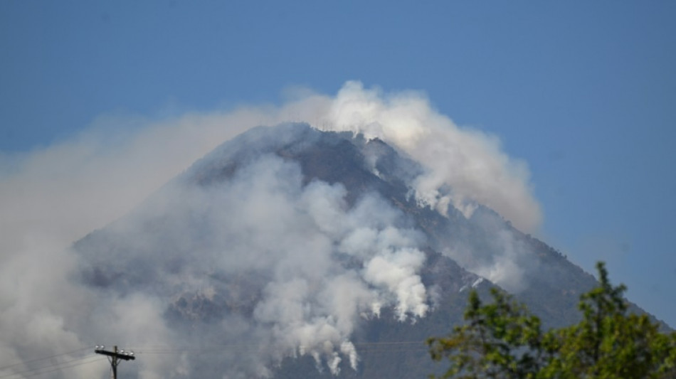 Incendio en Guatemala arrasa 50 hect&aacute;reas de bosque en volc&aacute;n de Agua