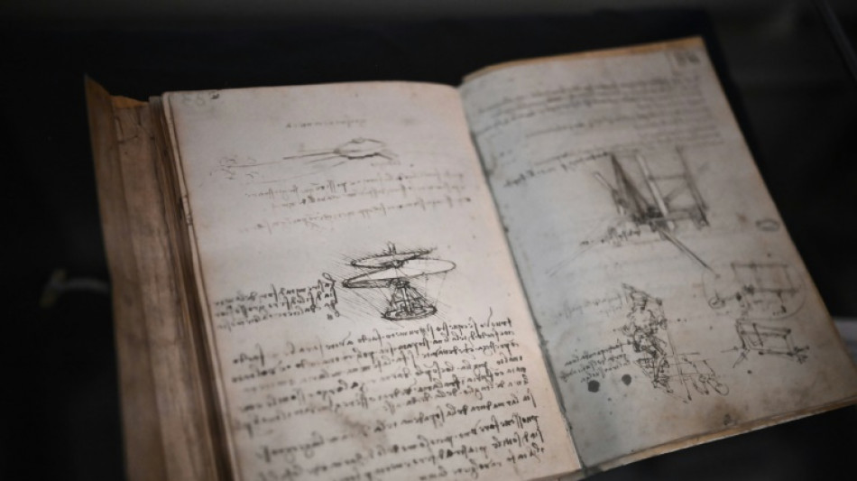 L&eacute;onard de Vinci, fils d'une esclave, ne serait qu'&agrave; moiti&eacute; italien
