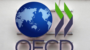 Ocse, 145 Paesi concordano elementi chiave per la global minimum tax