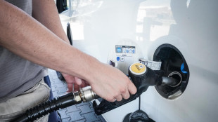 Unem, consumi petroliferi penalizzati da riduzione strutturale della petrolchimica