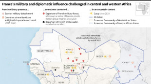 French ambassador to Niger returns to Paris after weeks of tension