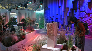 Biodiversidad: entre los reveses del "Fondo Cali" y la dif&iacute;cil b&uacute;squeda de financiaci&oacute;n