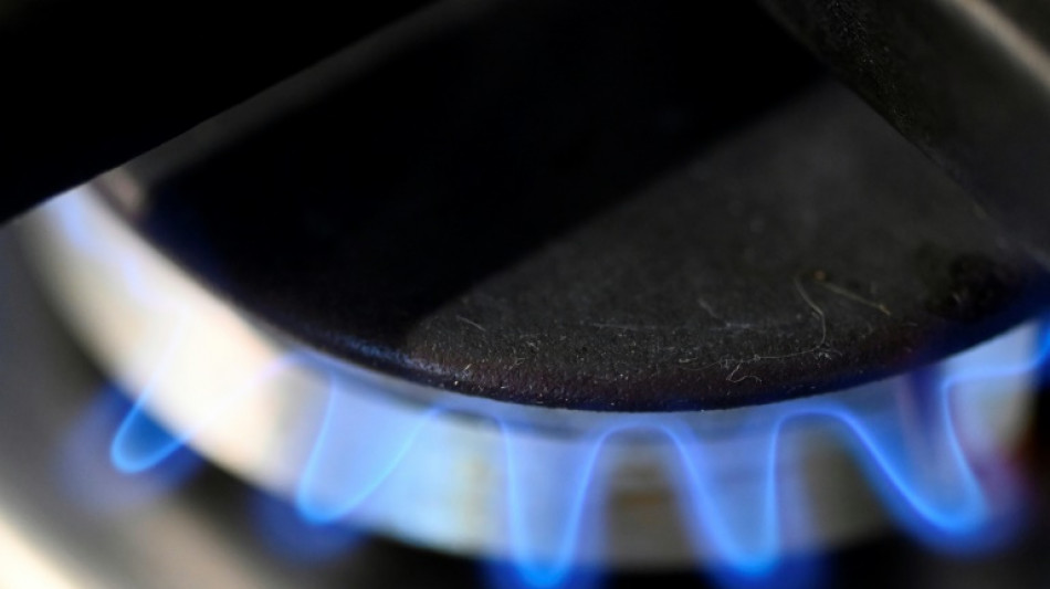 Vassiliades hält Vorziehen von Gaspreisbremse für schwer umsetzbar