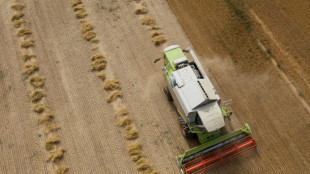 Les d&eacute;put&eacute;s LR poussent leur texte sur les retraites agricoles