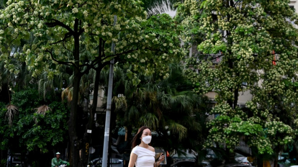 'Under attack' from fragrance, Hanoi prunes its famous blossoms