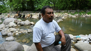 Former Honduras mayor arrested over murder of environmental activist