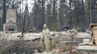 Arson suspect arrested as US northwest battles wildfires