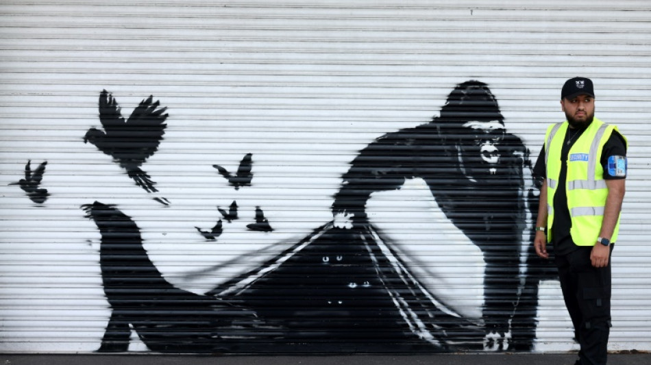 Banksy libera animais do Zool&oacute;gico de Londres como final de uma intrigante s&eacute;rie de obras