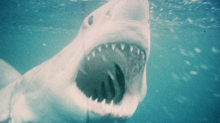 Lo Squalo torna in sala e domina il box office Usa, dopo Weapons