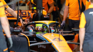 F1: Lando Norris (McLaren) partira en t&ecirc;te du sprint au Br&eacute;sil devant les Red Bull