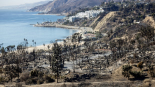 Jury selection begins in trial of LA fire suspect