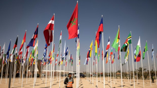 IMF says world economy resilient to shocks but 'limping'