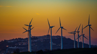 Le utility puntano su reti e Ia, in crescita gli investimenti
