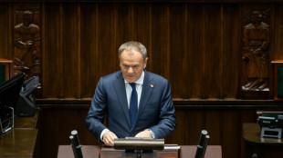 Polens Regierungschef Tusk für Rückzug aus Abkommen über Landminenverbot