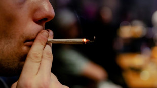 Dutch dope trial: what's the deal?