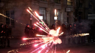 Ap&oacute;s dist&uacute;rbios, Fran&ccedil;a pro&iacute;be venda de fogos de artif&iacute;cio durante feriado nacional