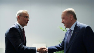 T&uuml;rkei gibt &uuml;berraschend gr&uuml;nes Licht f&uuml;r Nato-Beitritt Schwedens und Finnlands