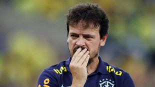 CBF demite Fernando Diniz do cargo de t&eacute;cnico da sele&ccedil;&atilde;o brasileira