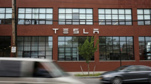 Musk wins US court appeal of $56 bn Tesla pay package