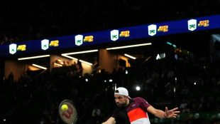 Masters 1000 de Paris: Dimitrov dans le dernier carr&eacute;, Hurkacz dit presque adieu au Masters