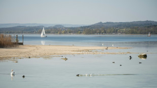 Notaufstieg aus rund 80 Metern: Zwei Tote bei Tauchunfall in Bodensee 