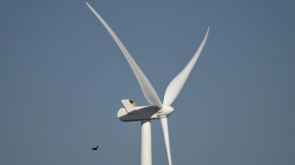 L'Afrique du Sud s'efforce de prot&eacute;ger les oiseaux des &eacute;oliennes
