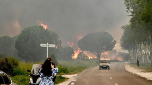 Plus de 3.000 campeurs &eacute;vacu&eacute;s lors d'un violent incendie dans les Pyr&eacute;n&eacute;es-Orientales