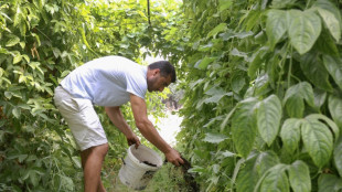 L'engrais flambe mais un paysan albanais voit son avenir dans le marc de caf&eacute;
