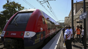 Le gouvernement invite la SNCF &agrave; &eacute;conomiser l'&eacute;nergie, pas &agrave; r&eacute;duire ses circulations